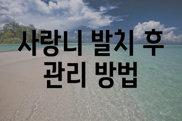 사랑니 발치 후 관리 방법
