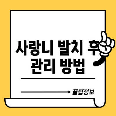 사랑니 발치 후 관리 방법