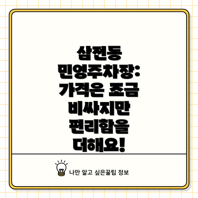 삼전동 민영주차장: 가격은 조금 비싸지만 편리함을 더해요!