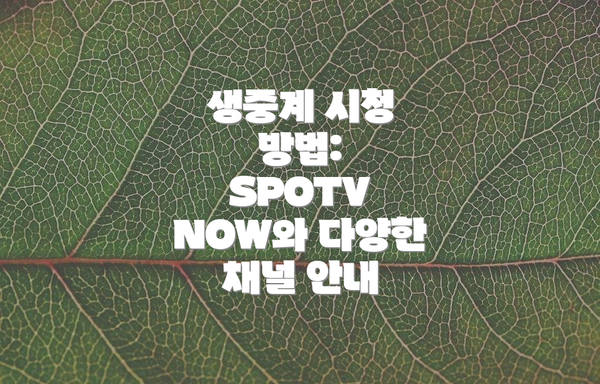 생중계 시청 방법: SPOTV NOW와 다양한 채널 안내