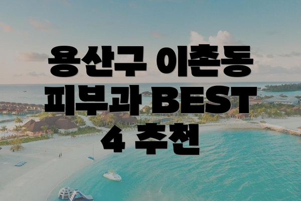 용산구 이촌동 피부과 BEST 4 추천
