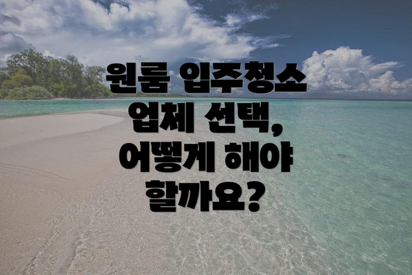 원룸 입주청소 업체 선택, 어떻게 해야 할까요?