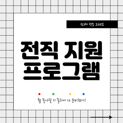 전직 지원 프로그램