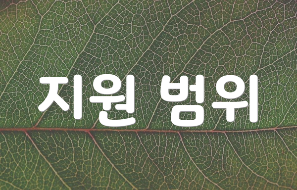지원 범위