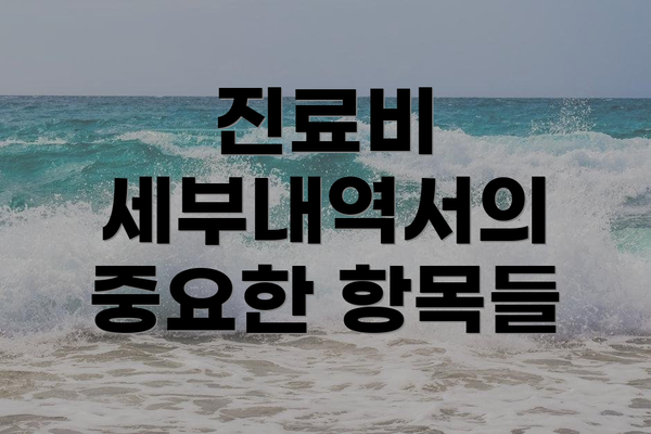 진료비 세부내역서의 중요한 항목들