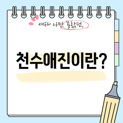 천수애진이란?