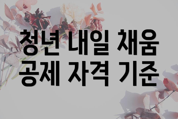 청년 내일 채움 공제 자격 기준