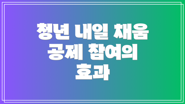청년 내일 채움 공제 참여의 효과