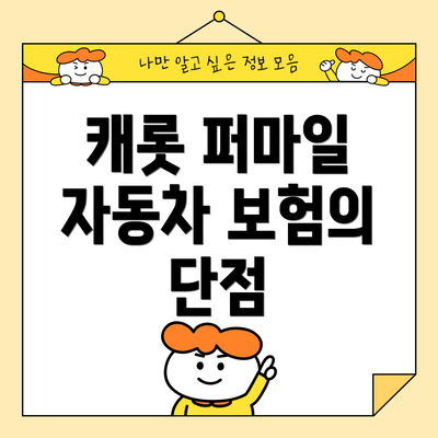 캐롯 퍼마일 자동차 보험의 단점