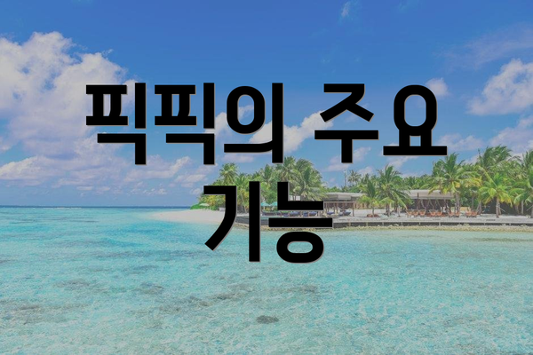 픽픽의 주요 기능