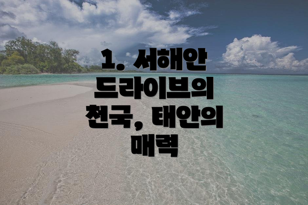 1. 서해안 드라이브의 천국, 태안의 매력