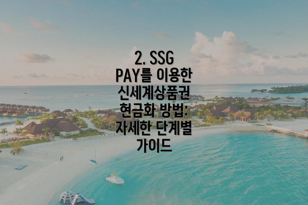 2. SSG PAY를 이용한 신세계상품권 현금화 방법: 자세한 단계별 가이드