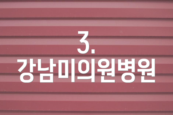 3. 강남미의원병원