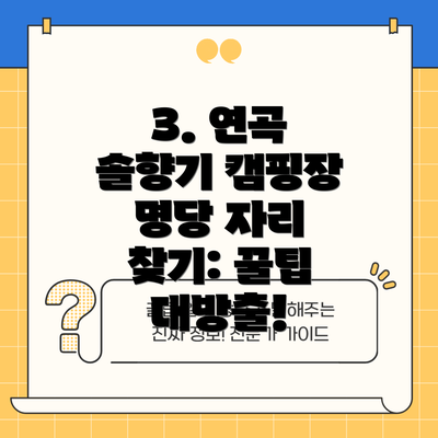 3. 연곡 솔향기 캠핑장 명당 자리 찾기: 꿀팁 대방출!