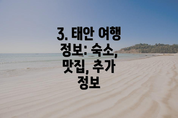 3. 태안 여행 정보: 숙소, 맛집, 추가 정보
