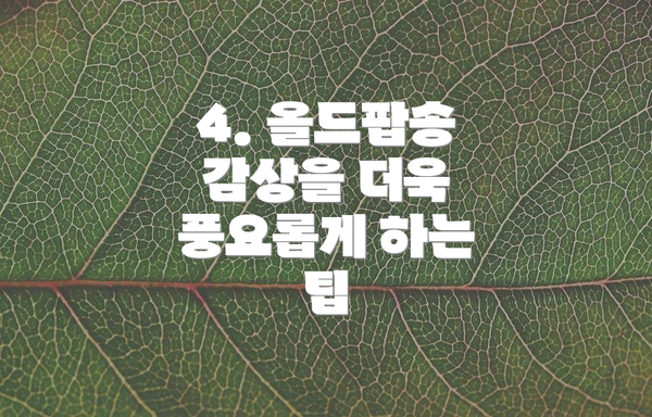4. 올드팝송 감상을 더욱 풍요롭게 하는 팁