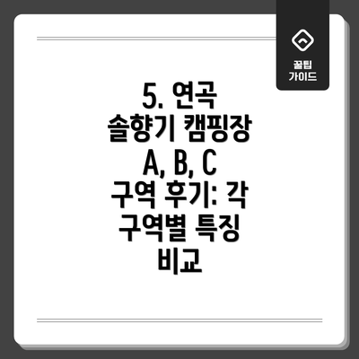 5. 연곡 솔향기 캠핑장 A, B, C 구역 후기: 각 구역별 특징 비교