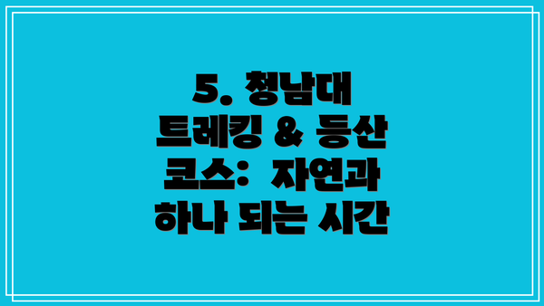 5. 청남대 트레킹 & 등산 코스:  자연과 하나 되는 시간