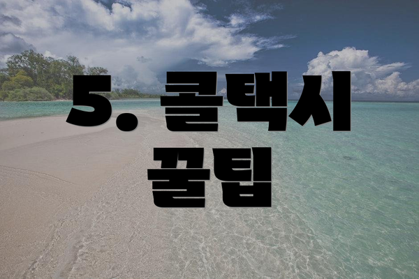 5. 콜택시 꿀팁