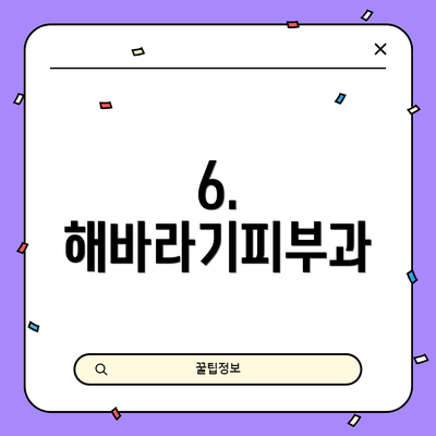 6. 해바라기피부과