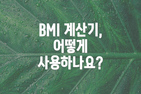 BMI 계산기, 어떻게 사용하나요?