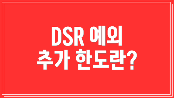 DSR 예외 추가 한도란?